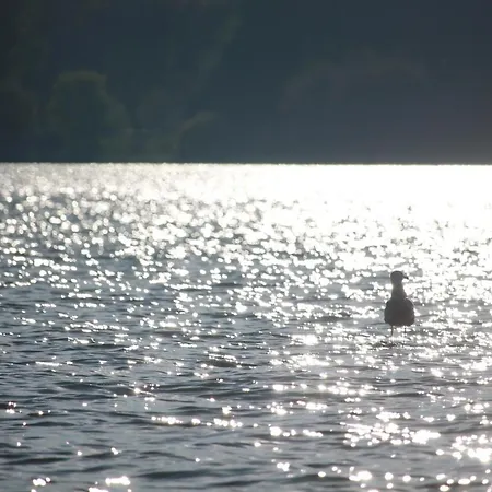 Tisza